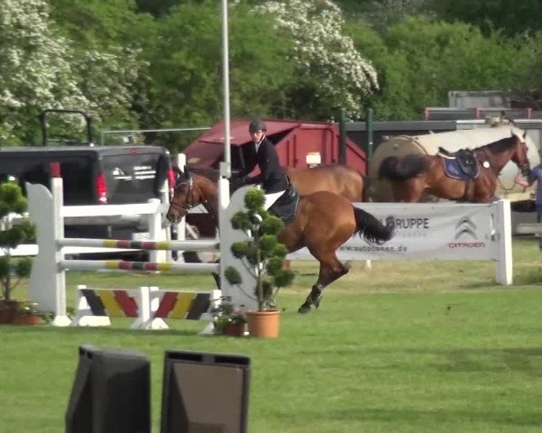 Reitturnier Düren - An der Kuhbrücke 2016