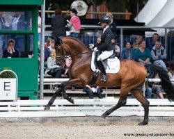 dressage horse Ballando (Hannoveraner, 2013, from Callaho's Benicio)