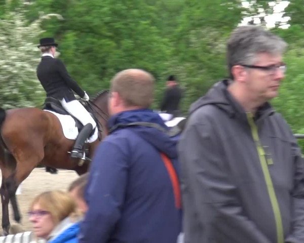 Reitturnier Düren - An der Kuhbrücke 2016