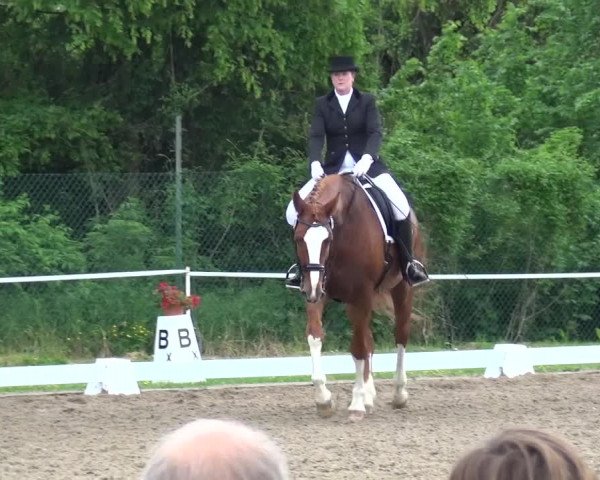 Reitturnier Düren - An der Kuhbrücke 2016