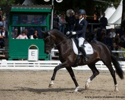 dressage horse Sazou 7 (Oldenburg, 2013, from Sezuan)