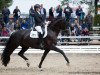 dressage horse Salvina (Bavarian, 2013, from Genesis)