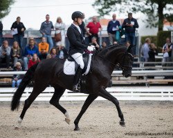 dressage horse Heidebluete Z (Oldenburger, 2013, from De Niro)