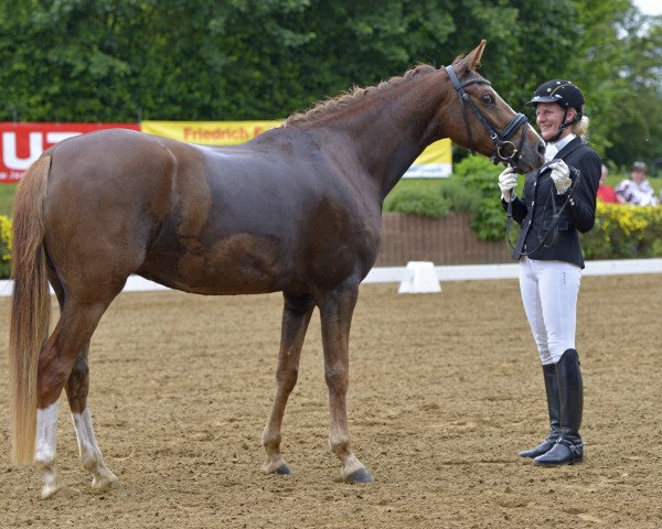 Dressurpferd Dakira 16 (Deutsches Reitpony, 2012, von Donatelli)