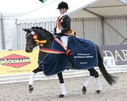 broodmare Die wahre Liebe NRW (German Riding Pony, 2015, from Cosmopolitan NRW)