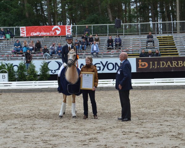 stallion Deukalion B (German Riding Pony, 2014, from Dornier B)