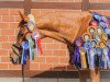 dressage horse Dario 137 (Hessian Warmblood, 2004, from De Niro)