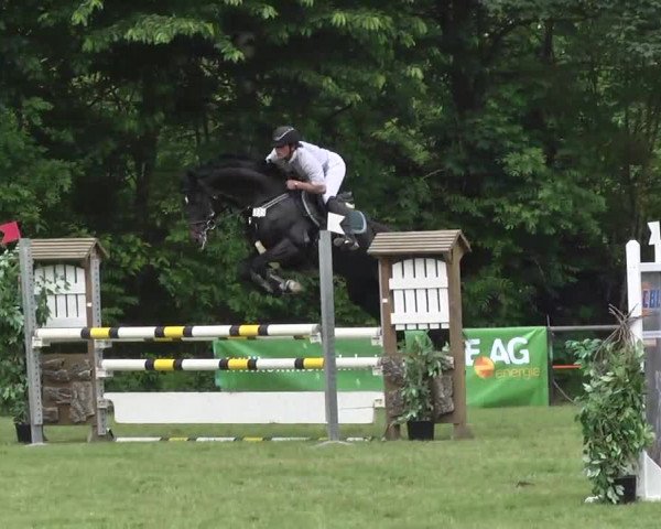 Reitturnier Leingarten 2016