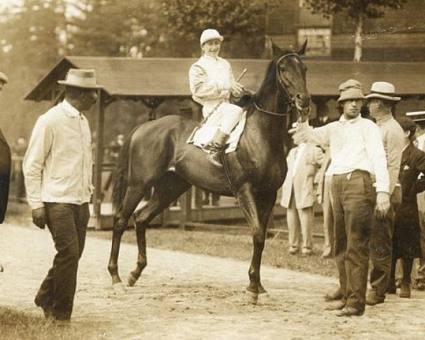 horse Old Rosebud xx (Thoroughbred, 1911, from Uncle xx)