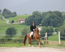 dressage horse Sir Solero (Oldenburg, 2010, from Sir Donnerhall I)