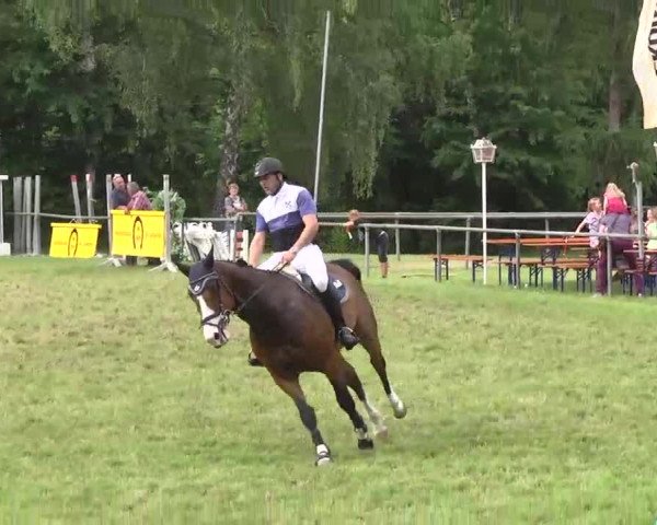 Reitturnier Leingarten 2016