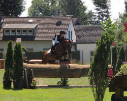 jumper Nelly L (German Riding Pony, 2008, from Nibelungenheld)