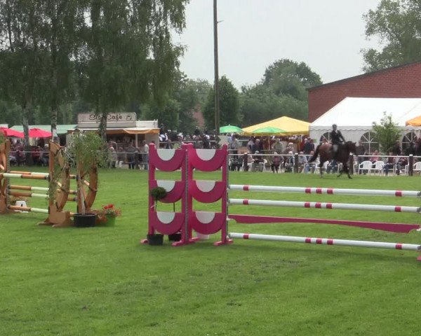 Reitturnier Hille 2016
