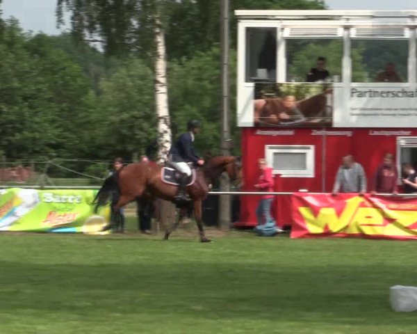 Reitturnier Hille 2016