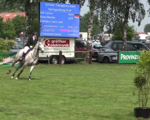 Reitturnier Hille 2016
