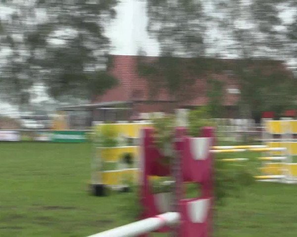 Reitturnier Hille 2016