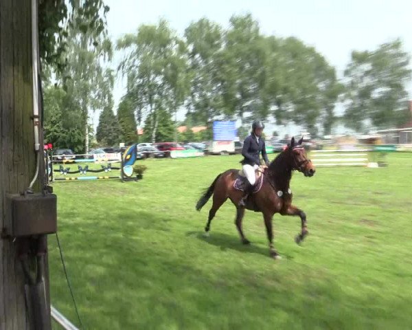 Reitturnier Hille 2016