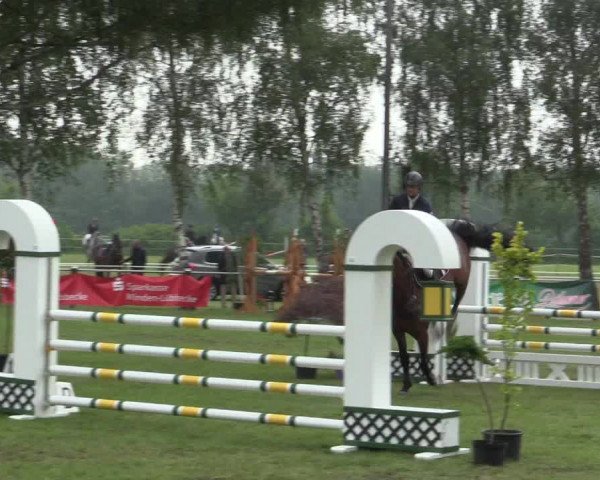 Reitturnier Hille 2016