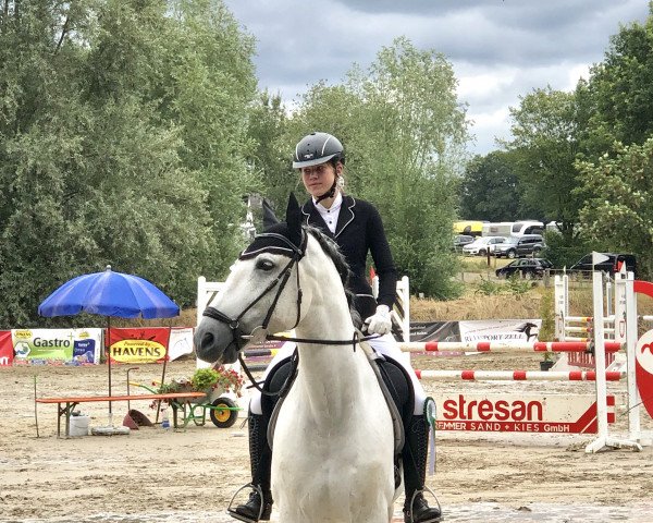 dressage horse Murmurador Cen (Pura Raza Espanola (PRE), 2008, from Rondeno IX)