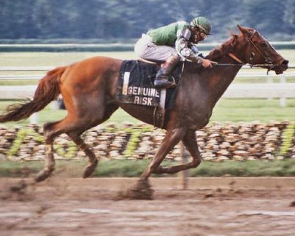 broodmare Genuine Risk xx (Thoroughbred, 1977, from Exclusive Native xx)