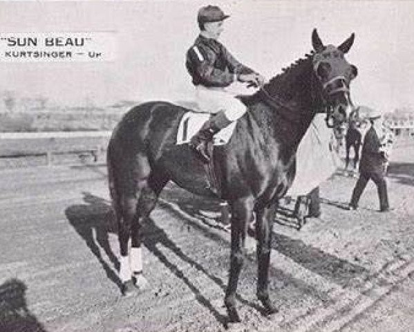 stallion Sun Beau xx (Thoroughbred, 1925, from Sun Briar xx)
