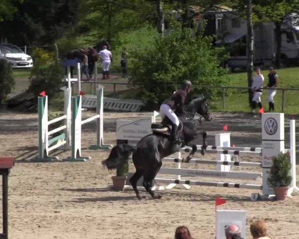 Reitturnier Kierspe-Hohenholten 2016
