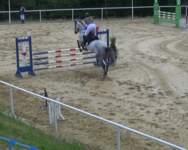 Reitturnier Sprockhövel, Auf der Gethe 2016