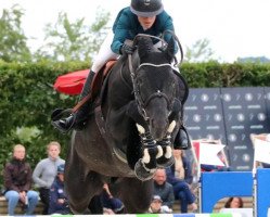 stallion Telstar de la Pomme (Selle Français, 2007, from Nabab de Rêve)