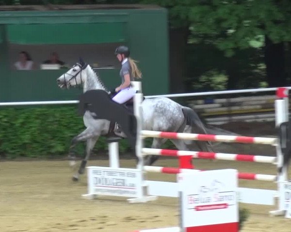 Reitturnier Sprockhövel, Auf der Gethe 2016