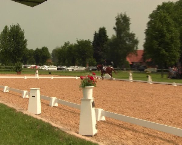 Reitturnier Hille 2016