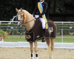 Deckhengst Genesis BL (Deutsches Reitpony, 2016, von Golden West NRW)