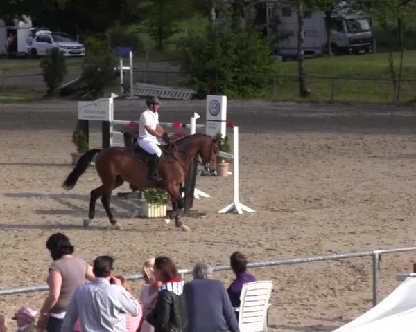 Reitturnier Kierspe-Hohenholten 2016