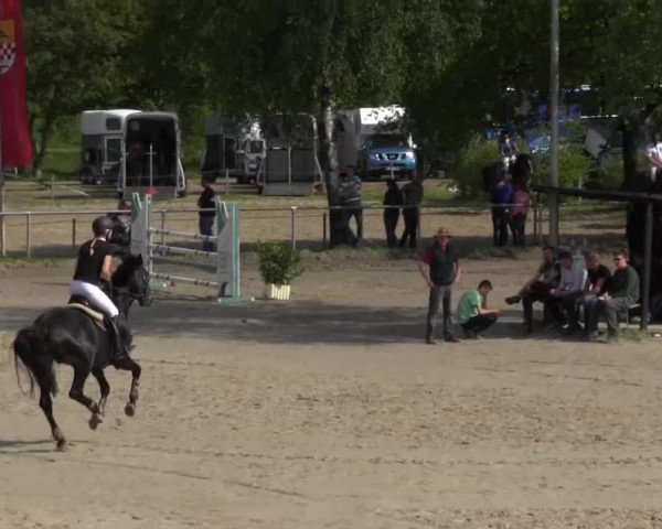 Reitturnier Kierspe-Hohenholten 2016
