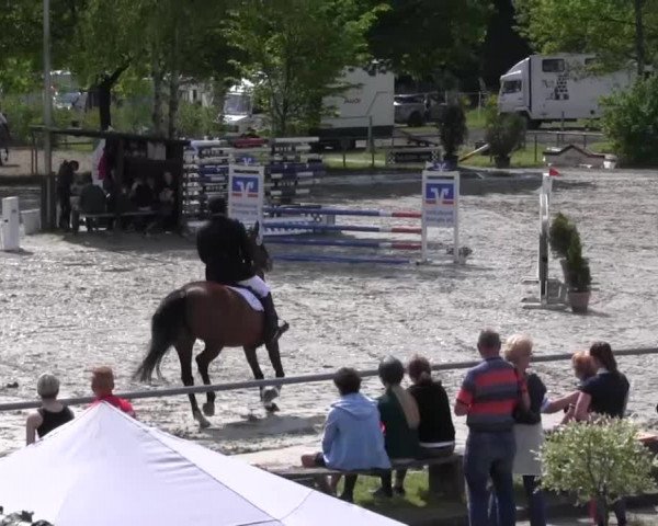 Reitturnier Kierspe-Hohenholten 2016