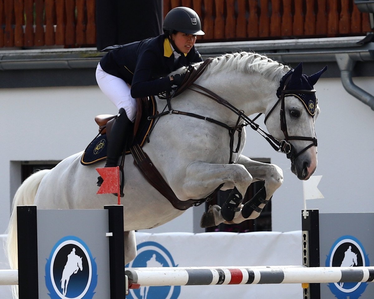 stallion Confidence 9 (Westphalian, 2006, from Cornet Obolensky)
