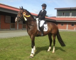 dressage horse Escobar 36 (Oldenburg, 2015, from Escolar)