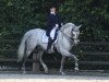 dressage horse Esperanzo (Pura Raza Espanola (PRE), 2006, from Encantado VII)