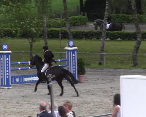 Reitturnier Kierspe-Hohenholten 2016
