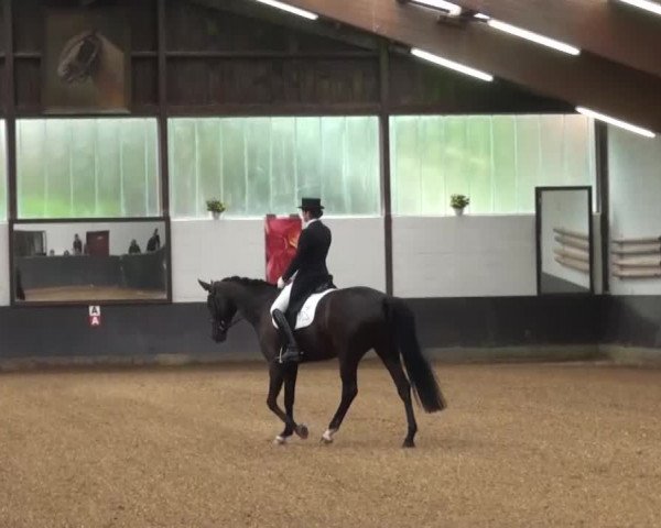Reitturnier Kierspe-Hohenholten 2016