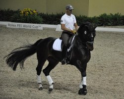 dressage horse Ravel (KWPN (Royal Dutch Sporthorse), 1998, from Contango)