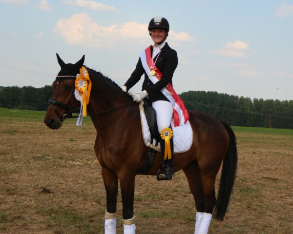dressage horse Speedy 448 (Westphalian, 2013, from Sir Heinrich OLD)