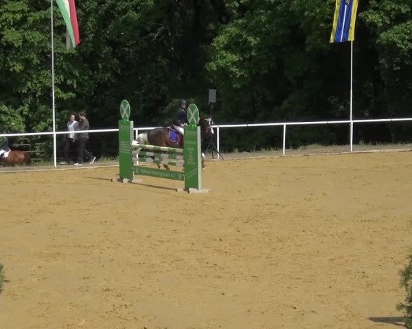 Reitturnier Sprockhövel, Auf der Gethe 2016