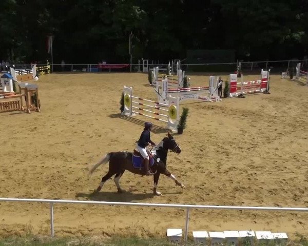 Reitturnier Sprockhövel, Auf der Gethe 2016