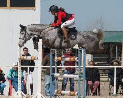 broodmare Herodia (Mecklenburg, 2008, from Heartbreaker)