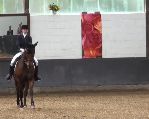 Reitturnier Kierspe-Hohenholten 2016