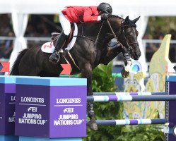 jumper Kel'Star du Vingt Ponts (Luxembourg horse, 2009, from Kannan)