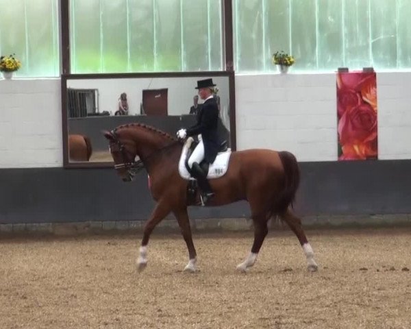 Reitturnier Kierspe-Hohenholten 2016