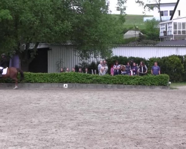 Reitturnier Kierspe-Hohenholten 2016