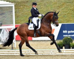 dressage horse Fürst Magic (Westfale, 2011, from Fürstenball)