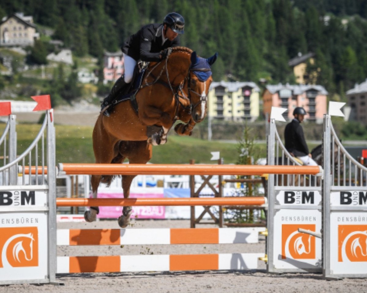 jumper Estefania III (KWPN (Royal Dutch Sporthorse), 2009, from Tangelo van de Zuuthoeve)